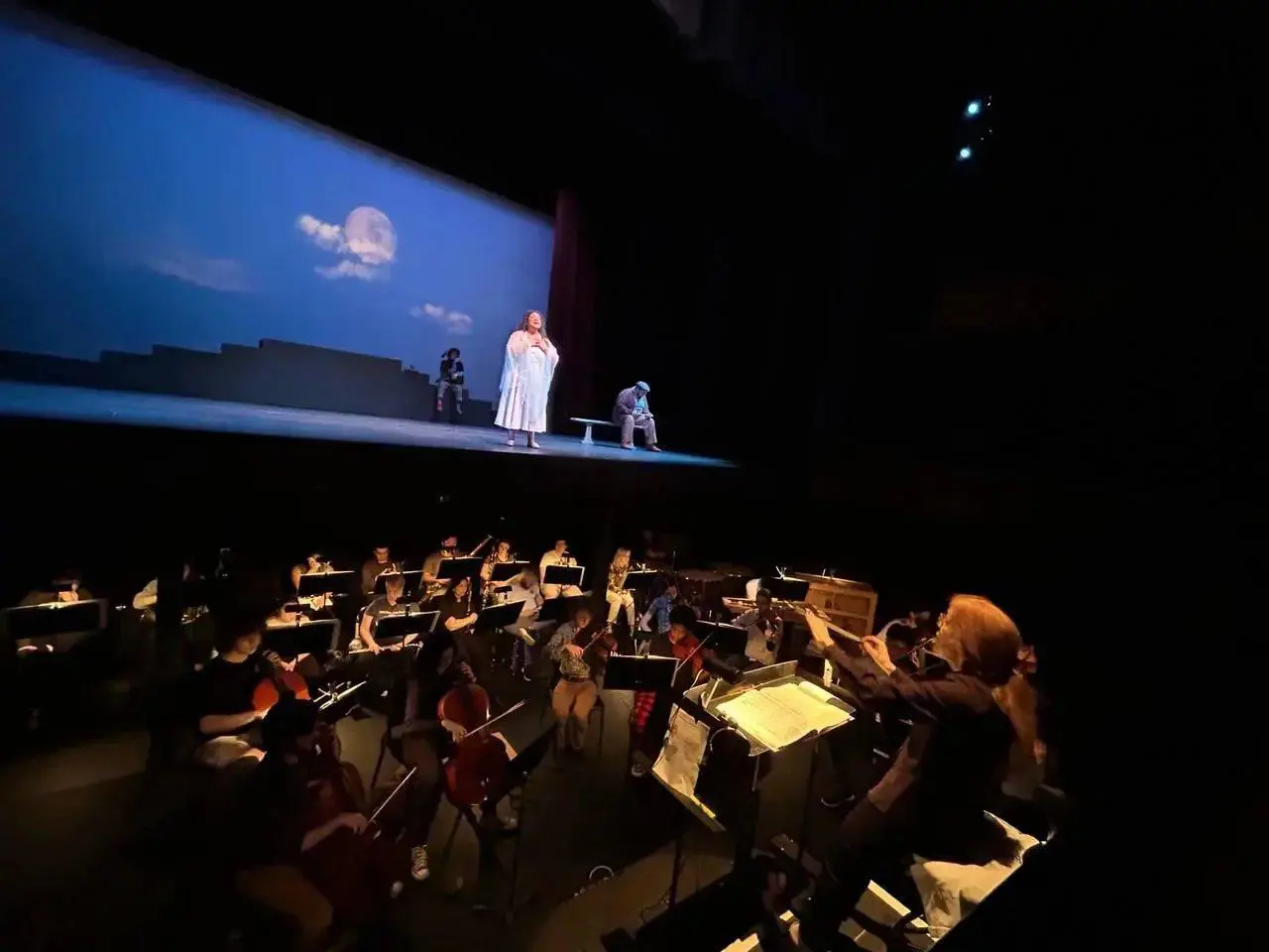 Opera Auditions