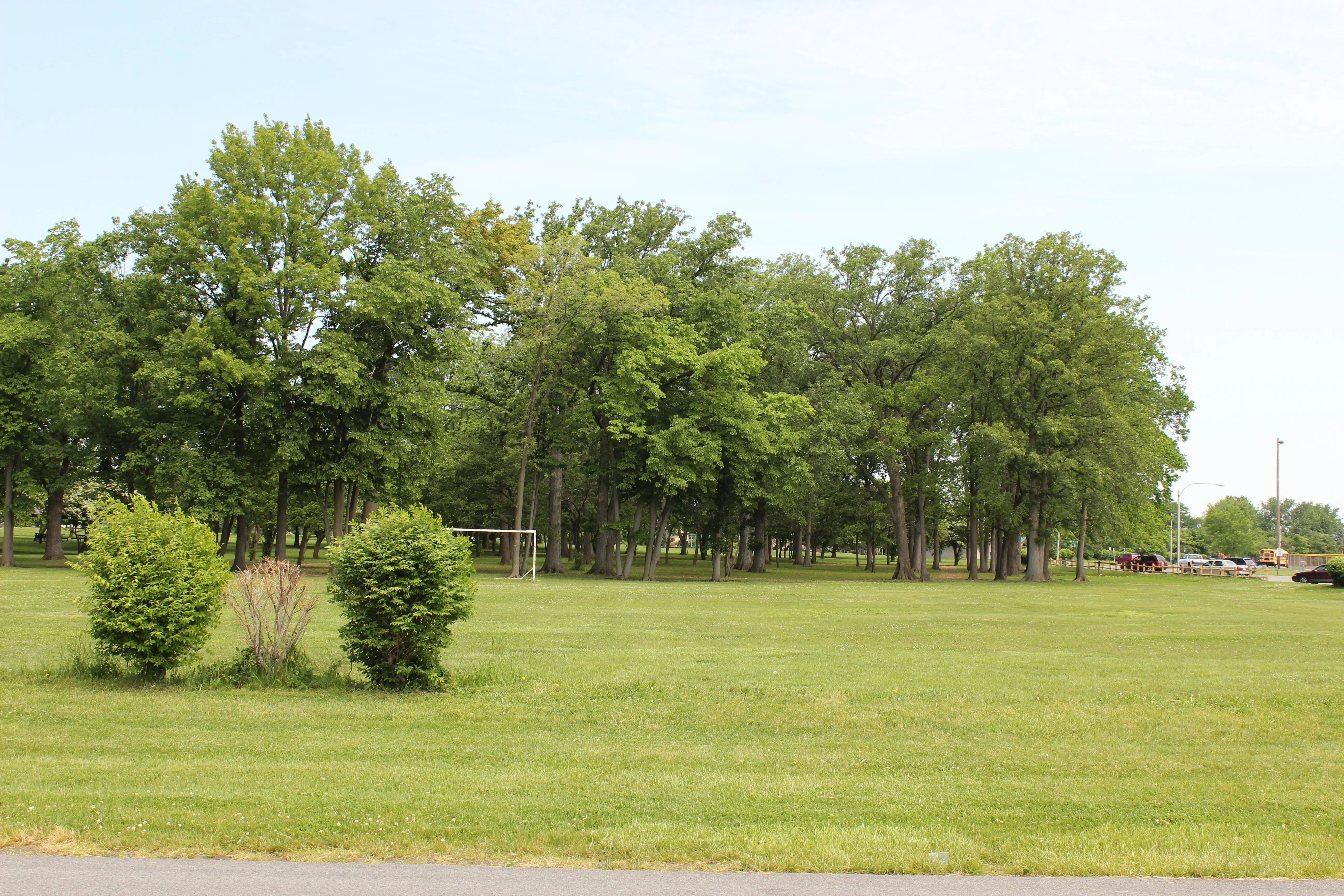 Carter Park