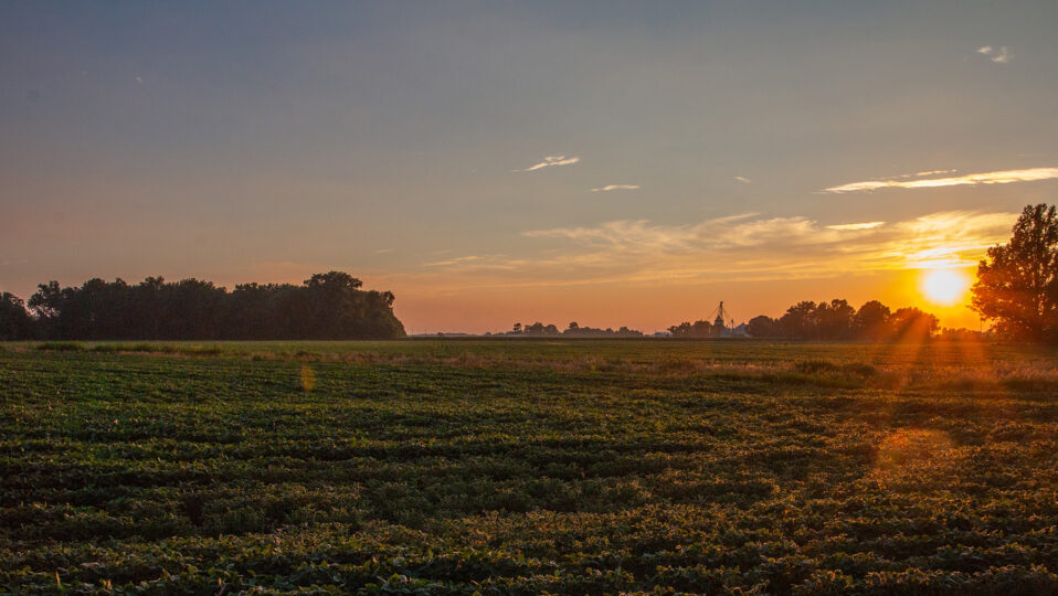 New Exhibit at Wood County Historical Museum