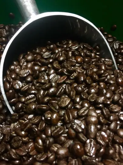 The Townies Guide of BG