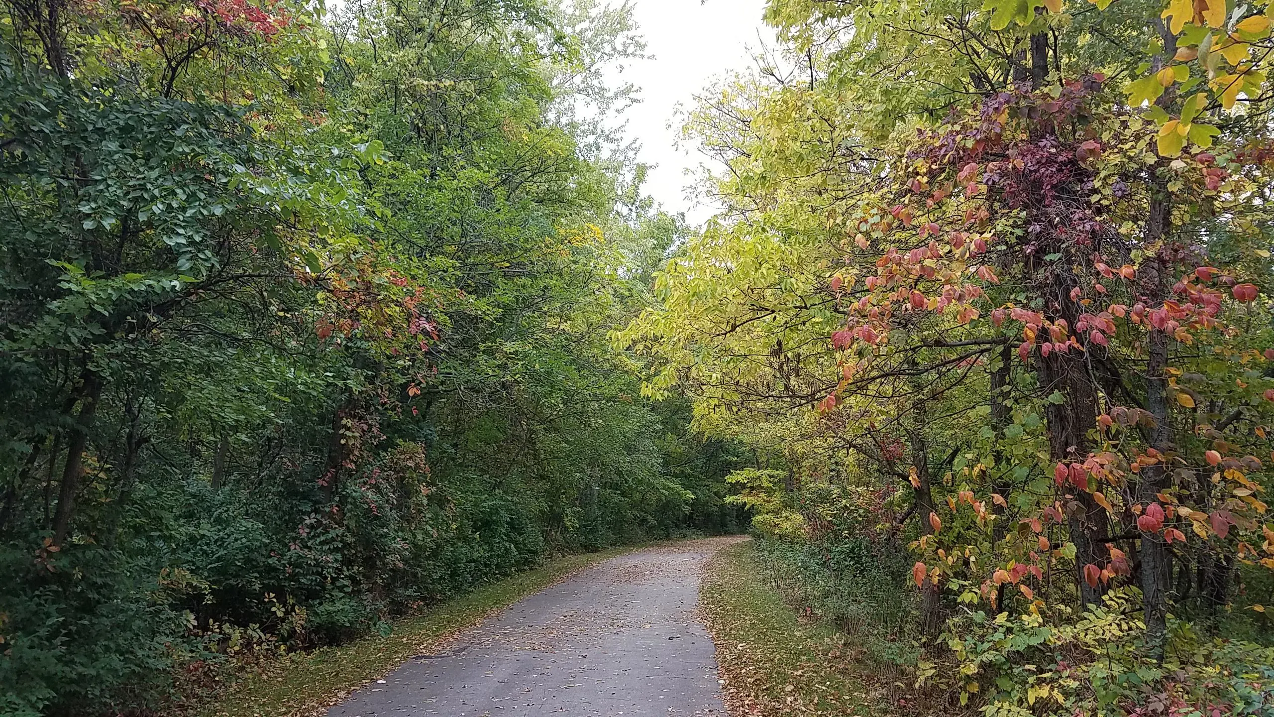 Slippery Elm Trail: North Terminus