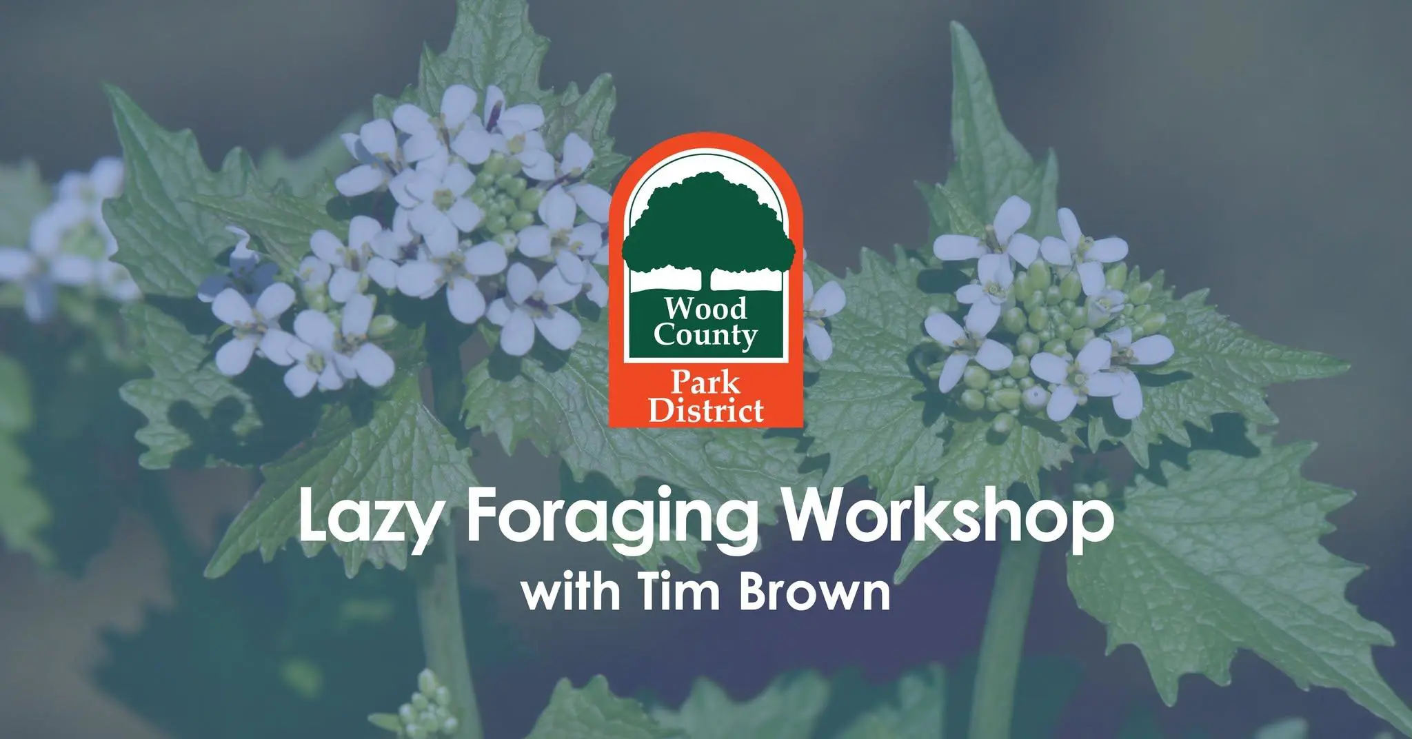 Lazy Foraging Workshop with Tim Brown