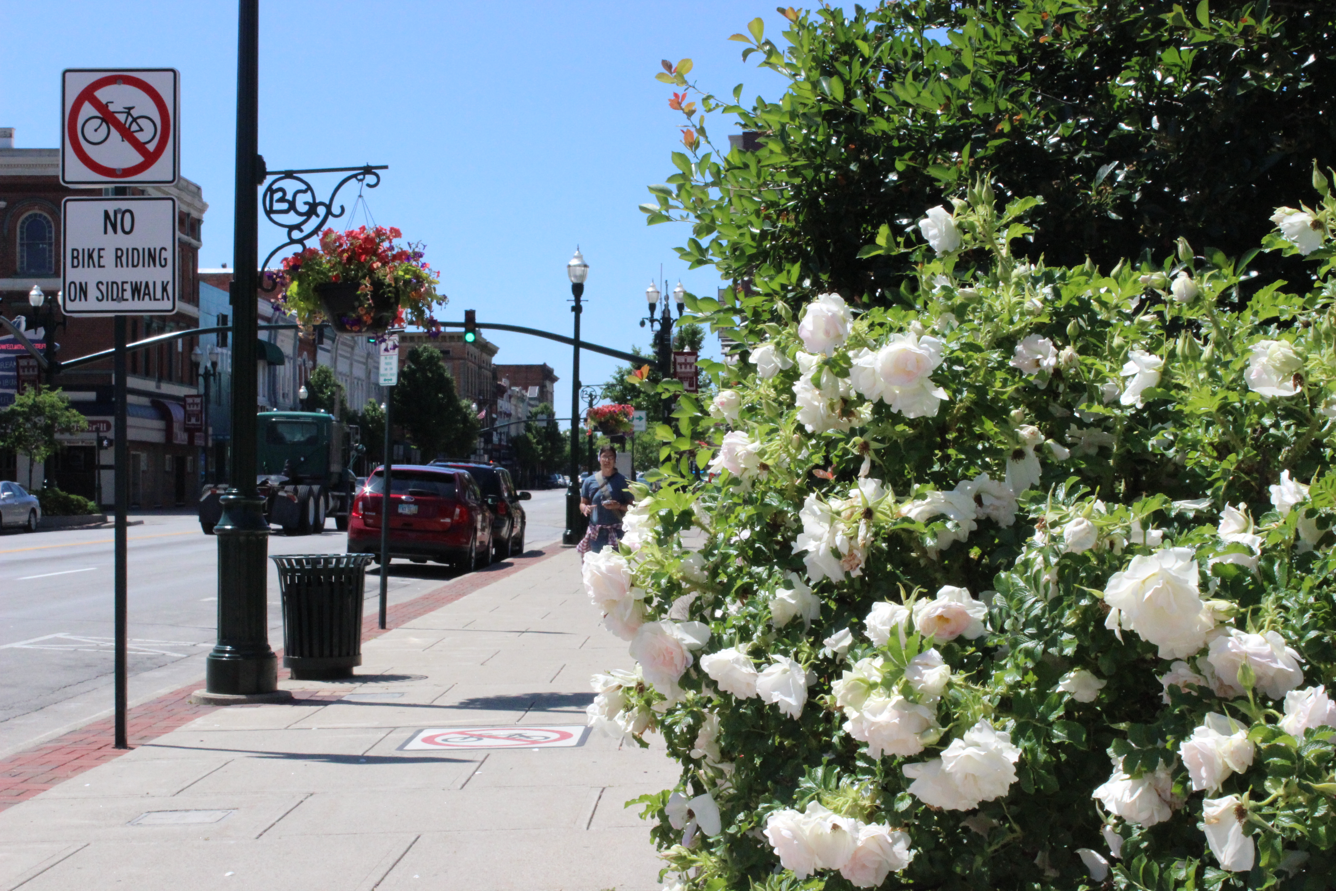 Downtown Bowling Green S.I.D.